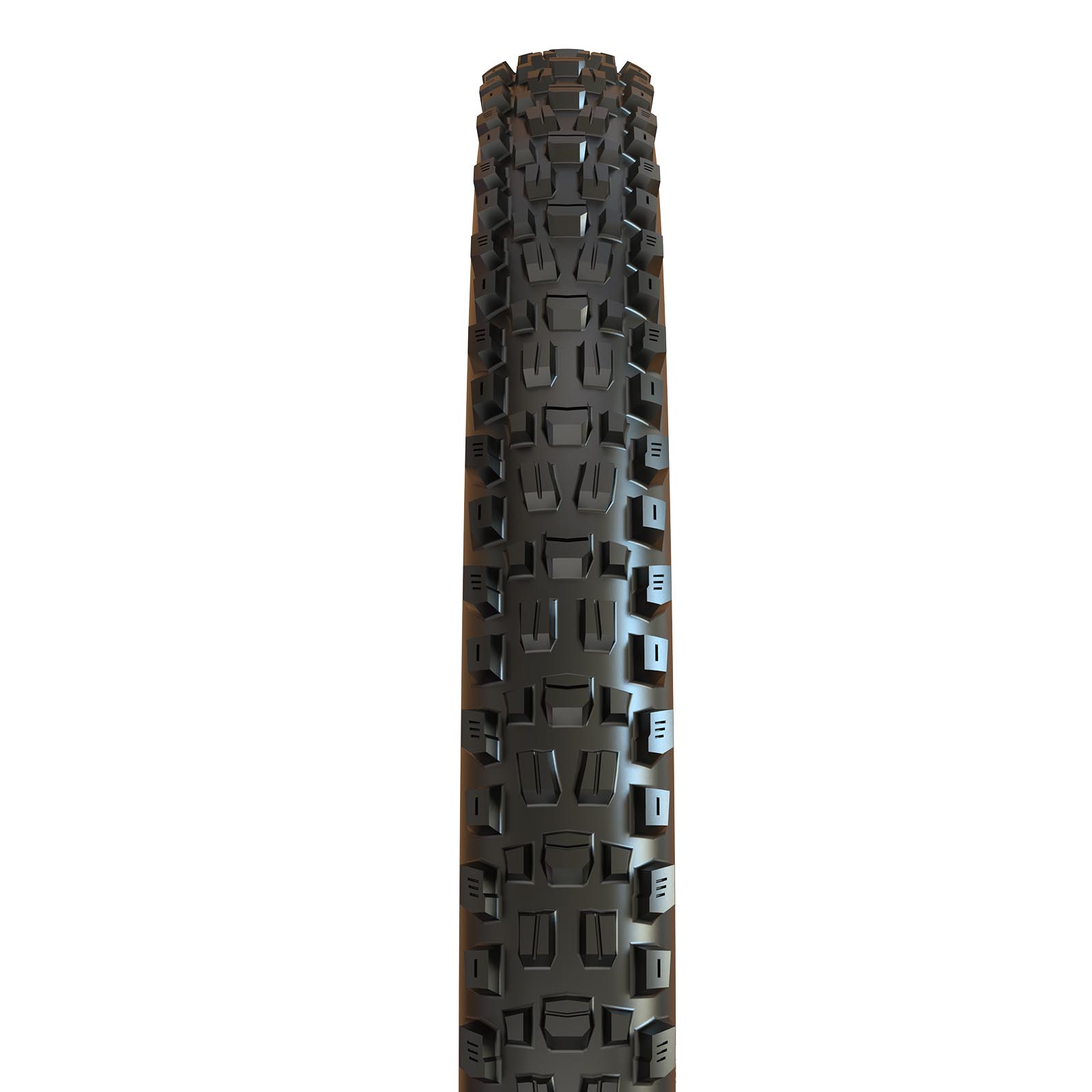 Maxxis Assegai 29" WT TR DH Tire
