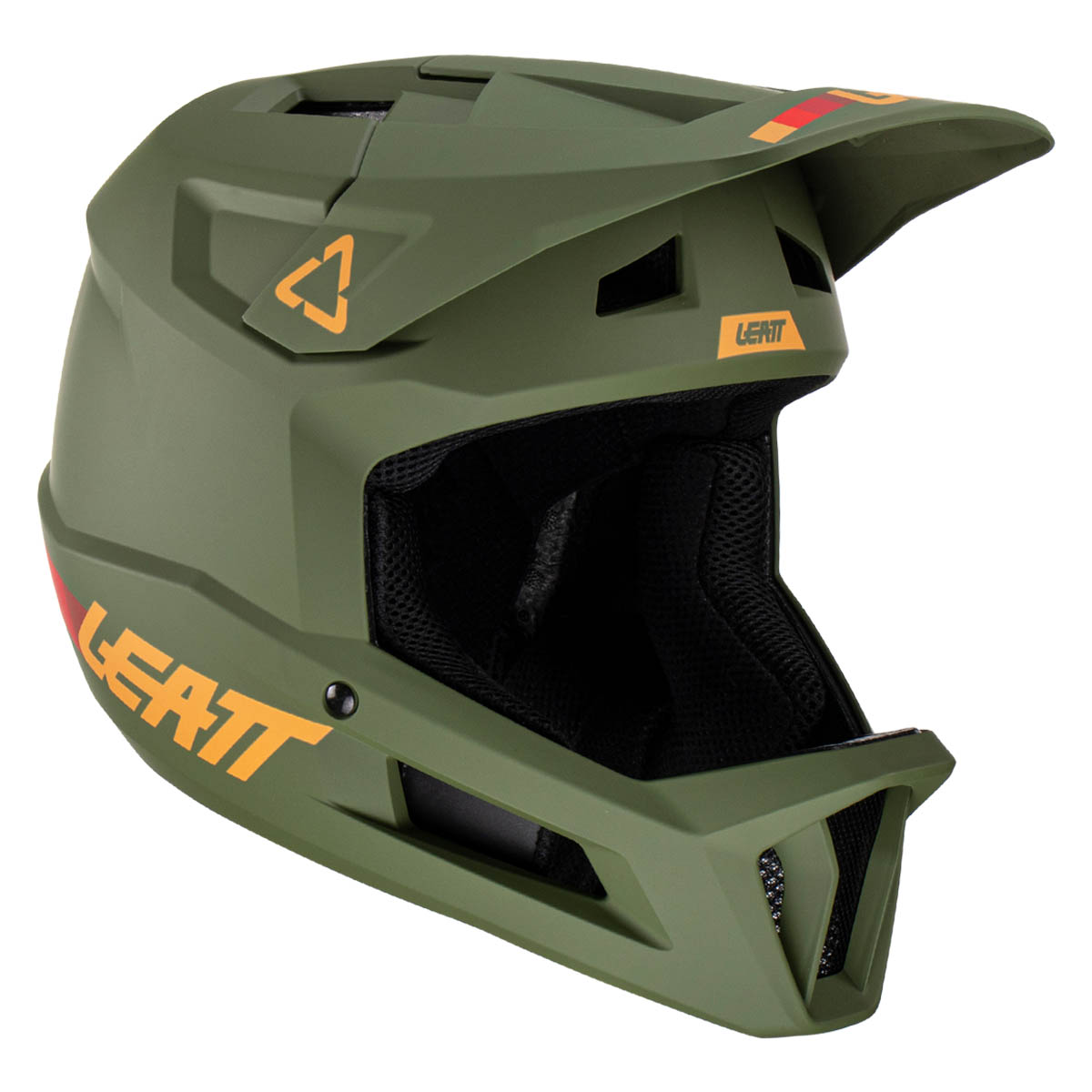 Leatt MTB Gravity 1.0 Helmet, Pine