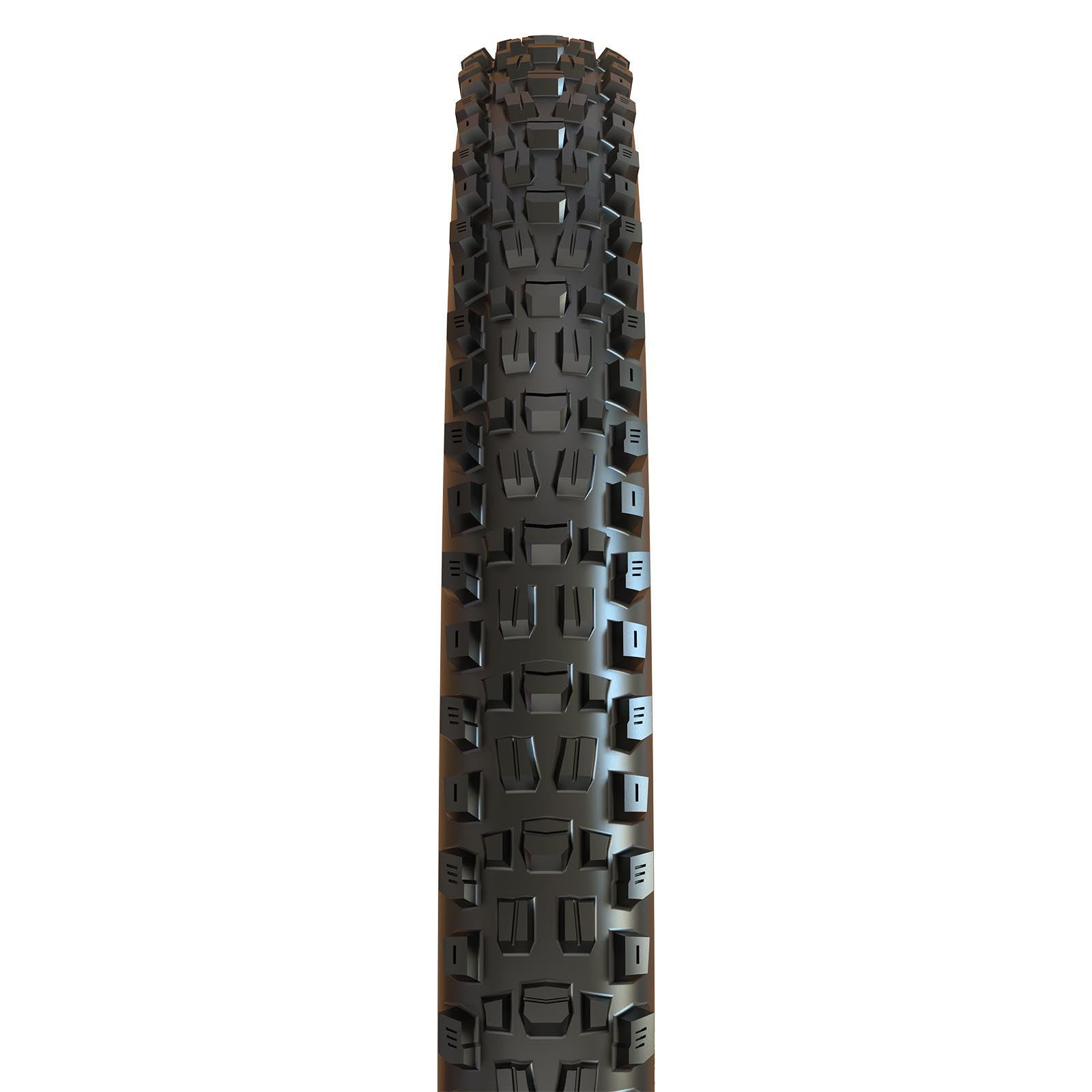 Maxxis Assegai 27.5" WT TR DH Tire