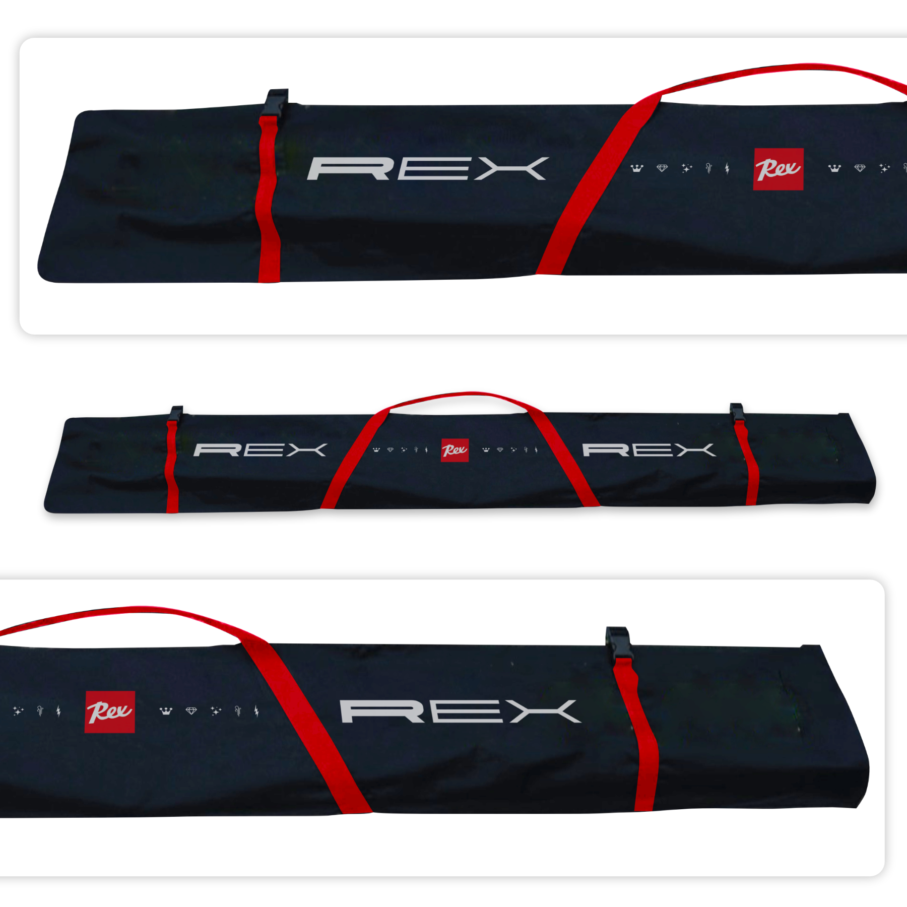 Rex Ski Bag Pro 4